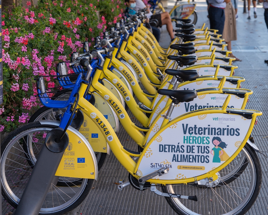 Veterinarios, los héroes detrás de tus alimentos, también se mueven en Sítycleta