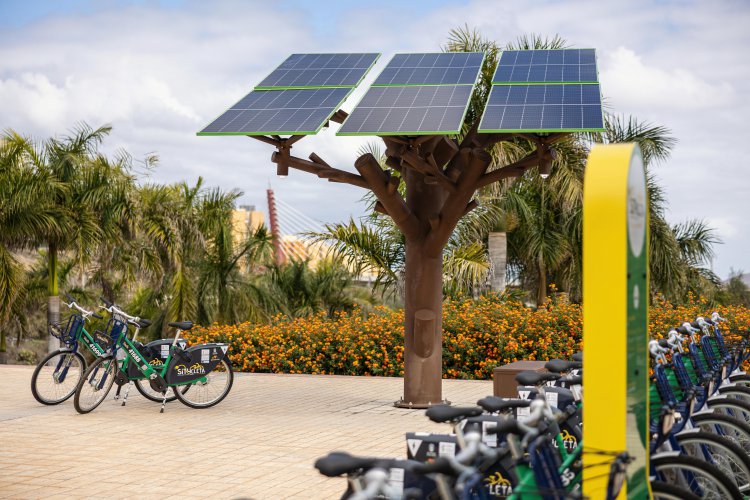 Sagulpa reduce su huella de carbono un 50 % en dos años y alcanza cero emisiones eléctricas en 2024